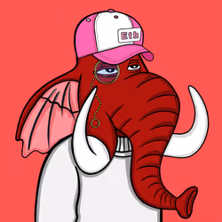 Untamed Elephant #5500