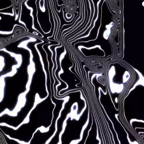 cabbbage cam :: spiiin portrait