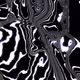 cabbbage cam :: spiiin portrait