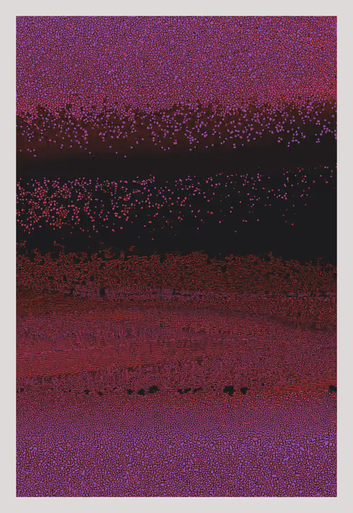 Item #4008595582 Media