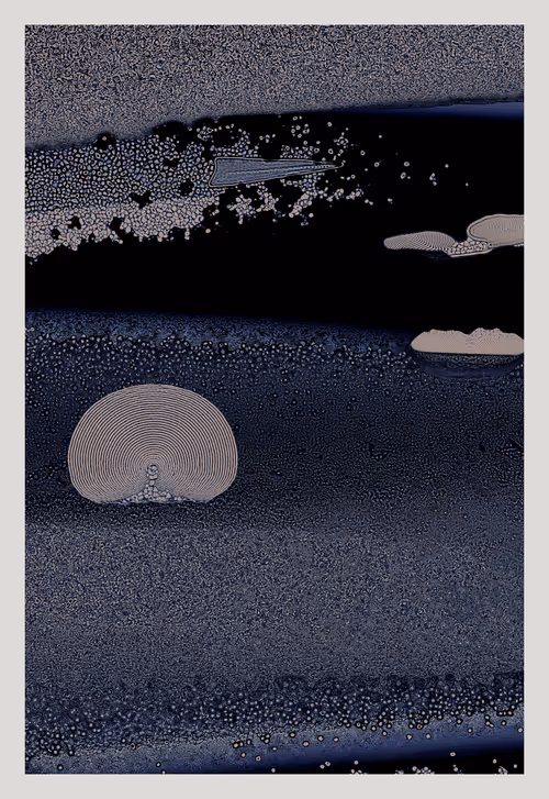 Item #1242046726 Media