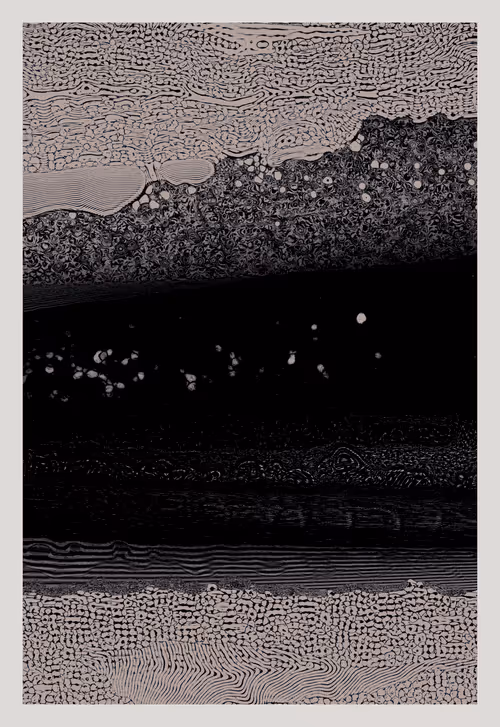 Item #2680300211 Media