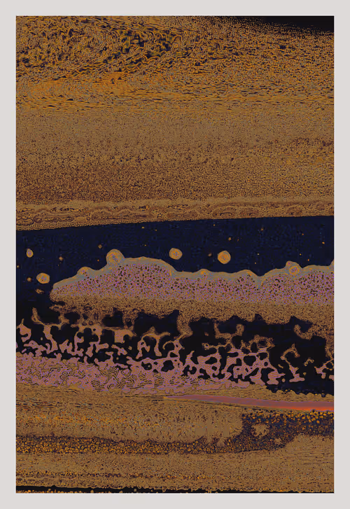 Item #491071996 Media