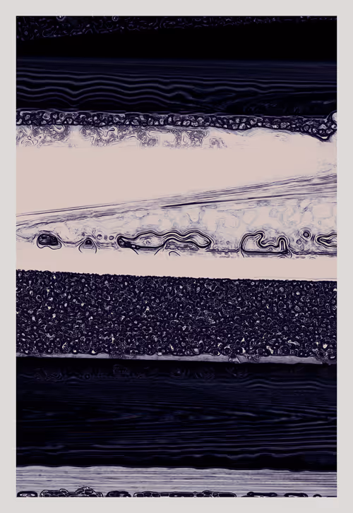 Item #81595310 Media