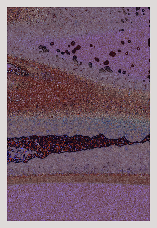 Item #2681222058 Media