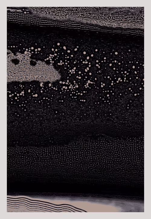 Item #1948988239 Media