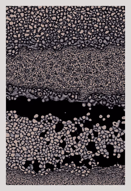 Item #604013019 Media