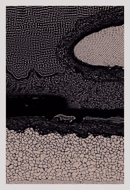 Item #340966081 Media