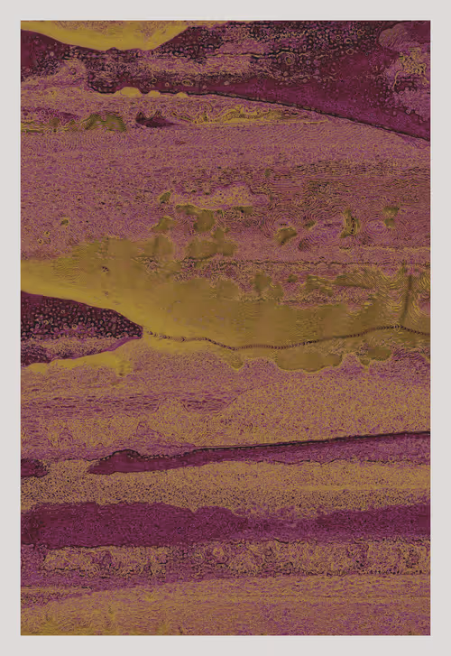 Item #3534411275 Media