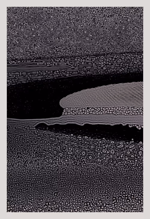 Item #1751068055 Media