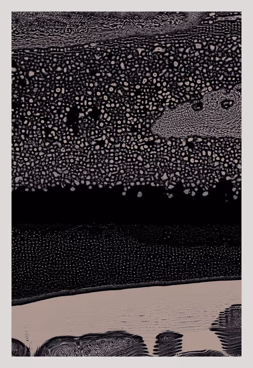 Item #568789041 Media