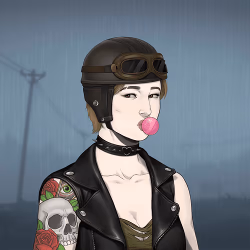 Outlaw Gal #4740