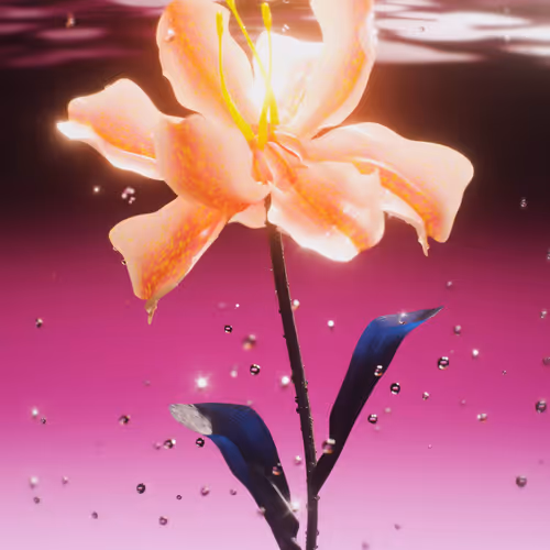 Dichotomic Mindscapes