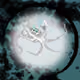 2835