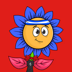 131
