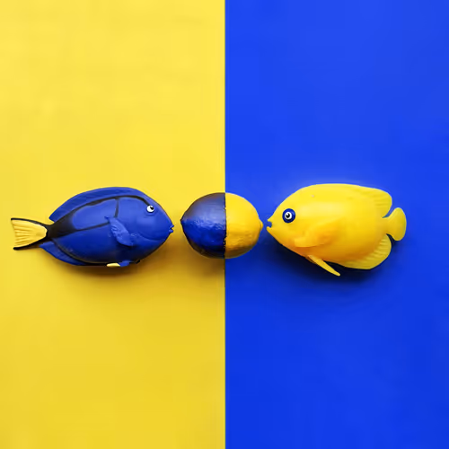 Displaced Identity