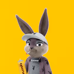 11038