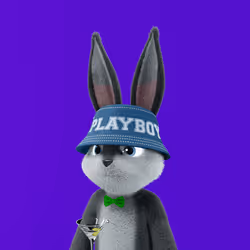 10355