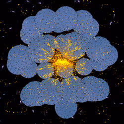 Cosmic Bloom #985