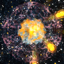 Cosmic Bloom #476