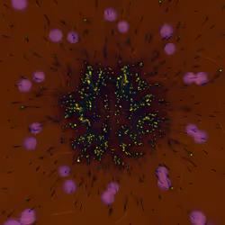Cosmic Bloom #606