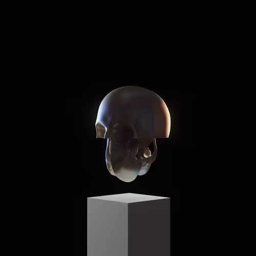 Item #5 Media