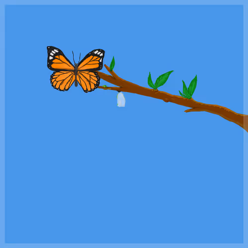ButterflyClaims