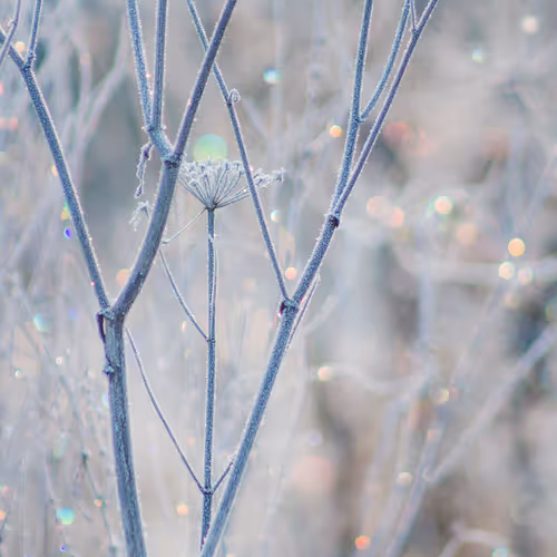 Shining Light by Paul Moon