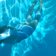 The Swimmer V2