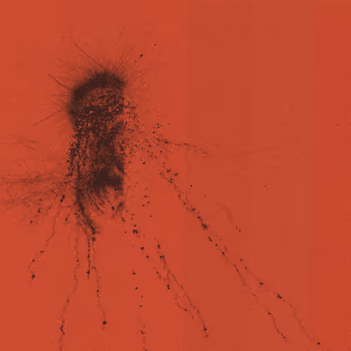 Item #2155940127 Media