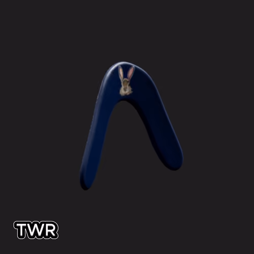 Item #349 Media