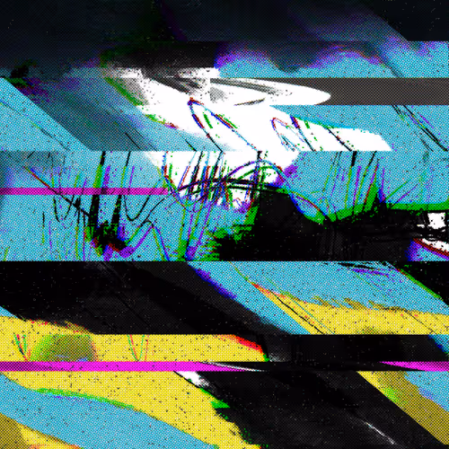Disturbance
