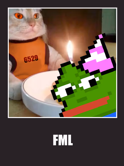 Item #41 Media