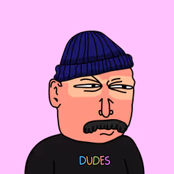 DUDES #5520