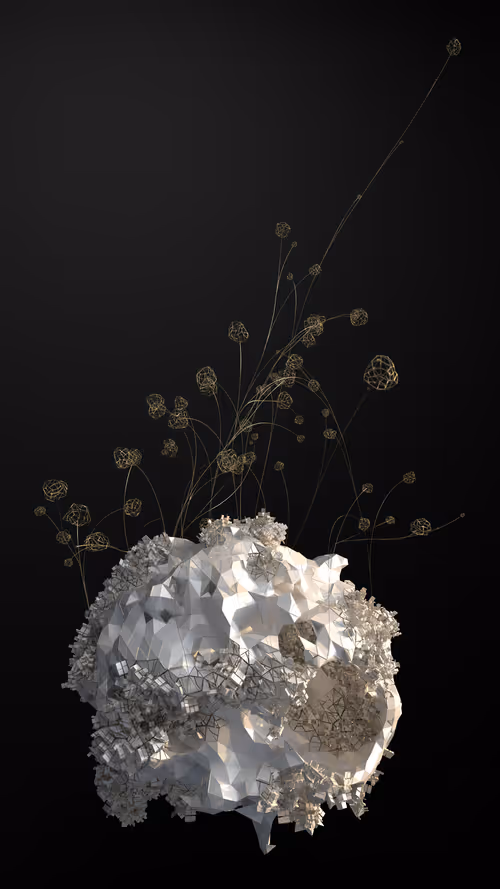 Item #50300030009 Media