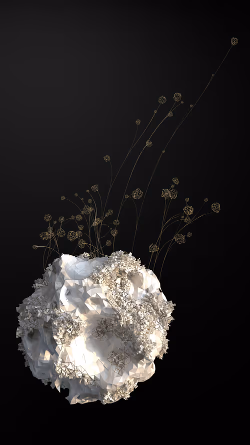 Item #50300020006 Media