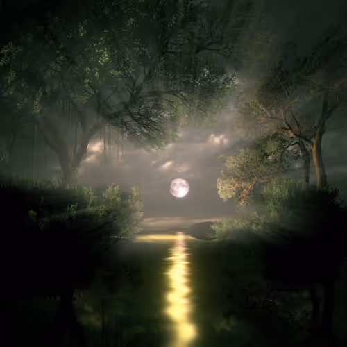 Landscapes