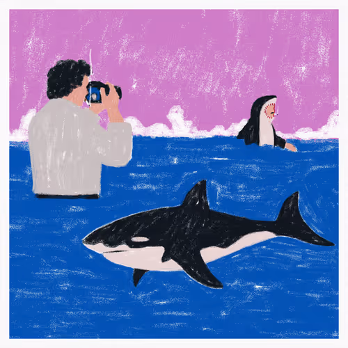 SHORT EXPOSURE (AKC x BWOW Collab)