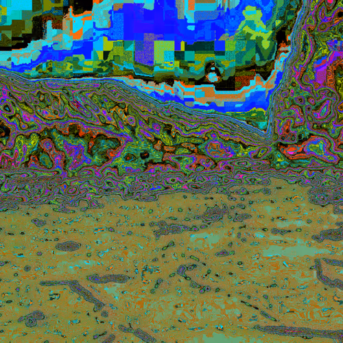 Item #2038560101 Media