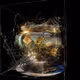 Collectible Scape