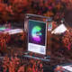 Into The Cryptoverse V2