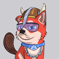 PUPPY #8703