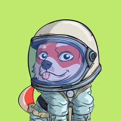 PUPPY #6787