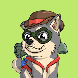 PUPPY #9475