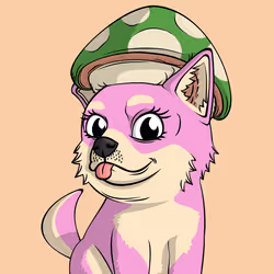 PUPPY #1464