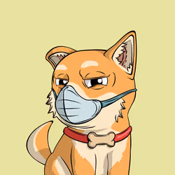 PUPPY #5441