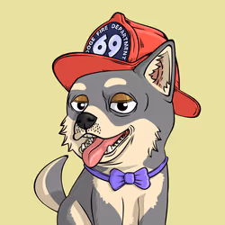 PUPPY #1545