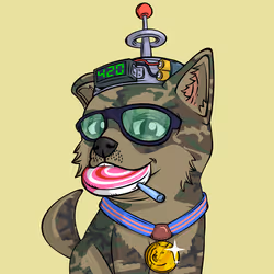 PUPPY #6170
