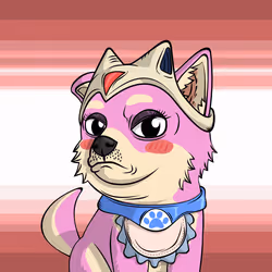 PUPPY #4877