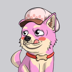 PUPPY #1498